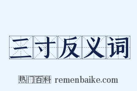 三寸反义词是什么意思的图片